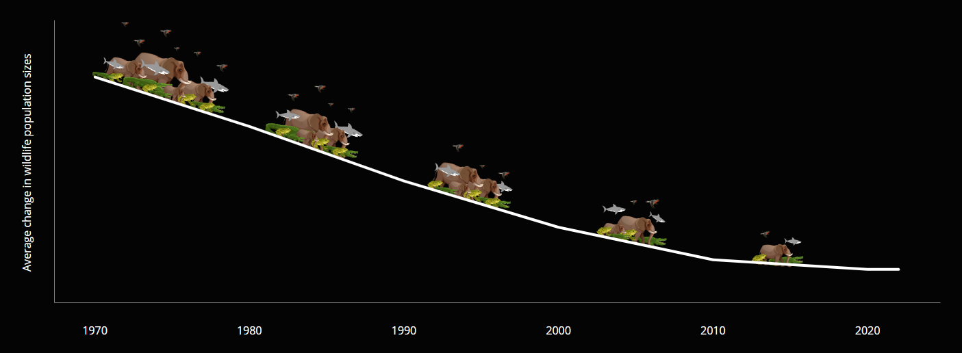 Wildlife Populations Have Declined By 73 Since 1970 And Other Nature