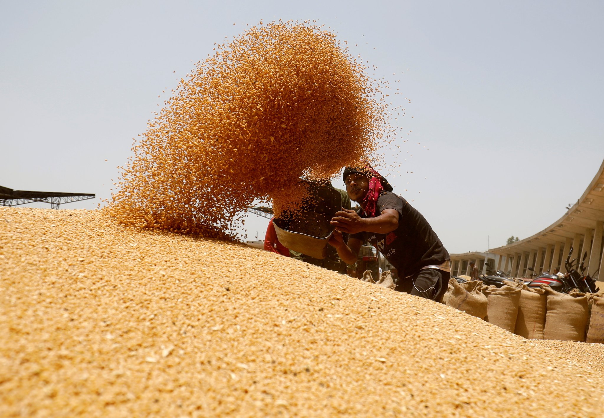 From predicting heatwaves to developing climate-resilient seeds: Here’s how agritech can help farmers