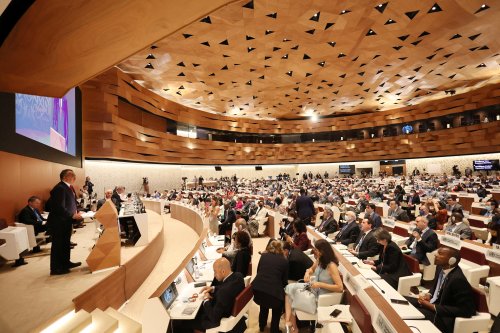 What is the World Health Assembly and why is it important?