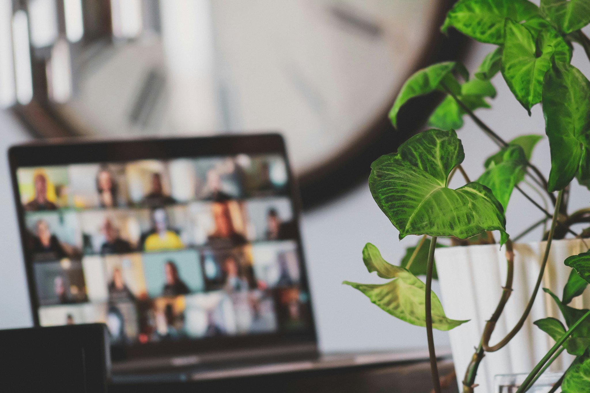 These sectors are suitable for remote working digital jobs