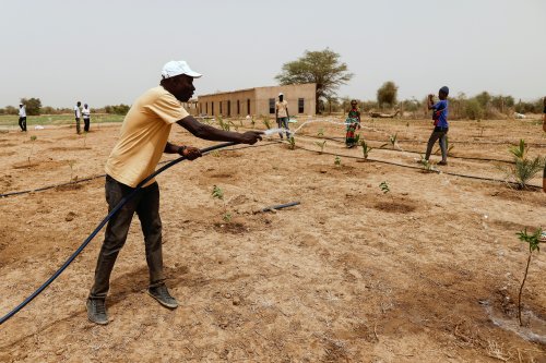 These start-ups are helping to make life in the Sahel more sustainable