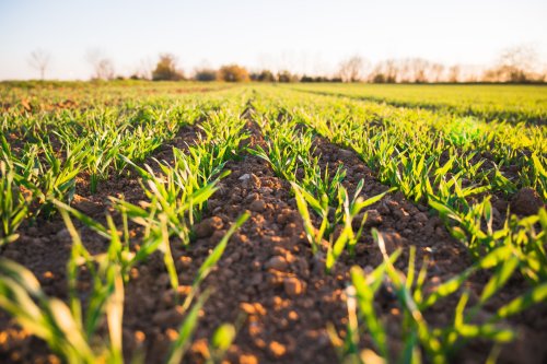 How collaboration on regenerative agriculture can strengthen food security
