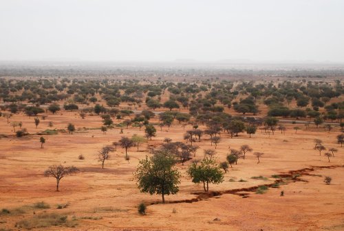 These 12 innovations are helping to grow Africa’s next natural wonder