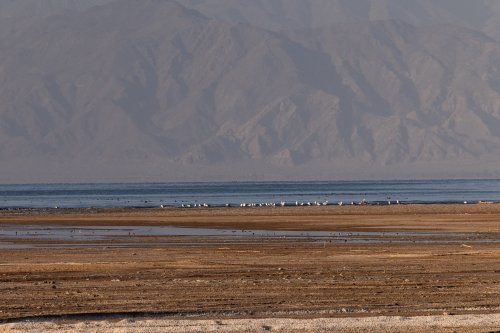 why-is-the-salton-sea-in-california-so-important-and-what-can-we-do-to