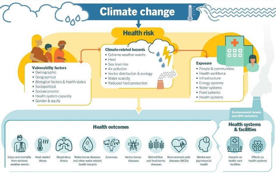 The key health achievements of COP29, and other top health stories