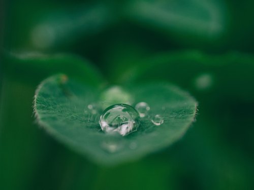 How to address the sustainability gap in emerging markets