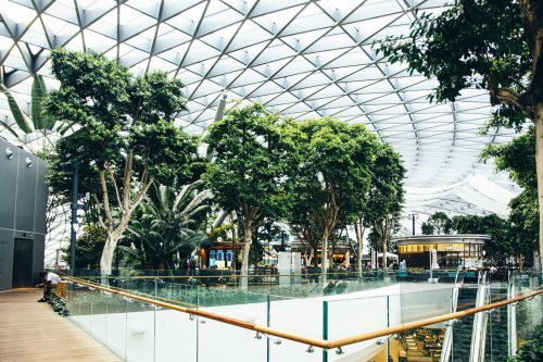 What's 'biophilic design' and how can it benefit neurodivergent people?