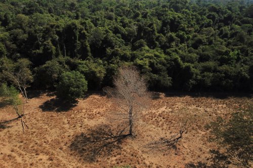 How tougher environmental protection in the Cerrado could unlock $72 billion for Brazil's economy