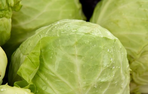 Is Cabbage Keto-Friendly? (& Substitutes)
