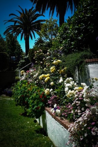 Garden Scene 22 From the 2022 Mary Lou Heard Memorial Garden Tour via Instagram [Photography] – A Gardener's Notebook