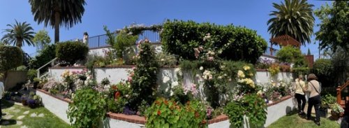 Garden Panorama 05 from 2022 Mary Lou Heard Memorial Garden Tour [Video] – A Gardener's Notebook