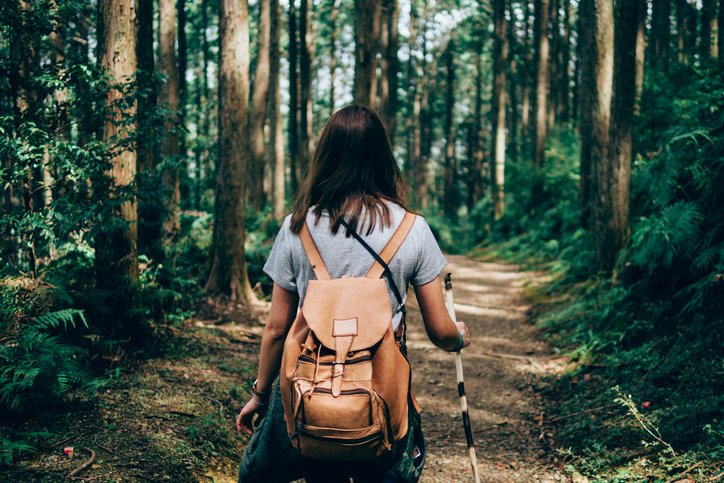 CAMPING & HIKING - cover