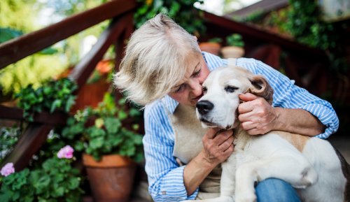 How To Care for an Elderly Pet With Love and Compassion, According to an Animal Behaviorist