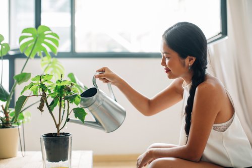 Should You Pee on Your Plants?