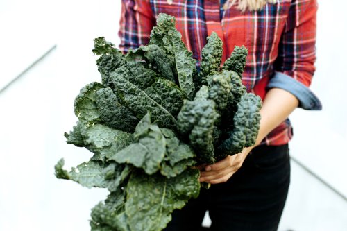 6 Healthy Winter Vegetables That Don’t Require a Whole Lot of Space To Grow
