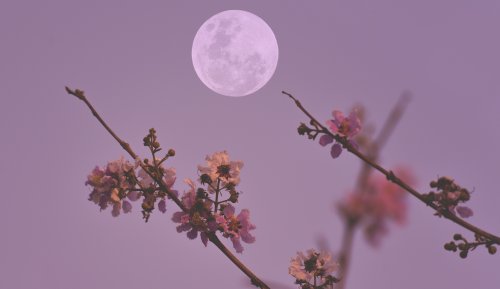 What It Means To Get Your Period Around the Full Moon, aka Having a Red Moon Cycle