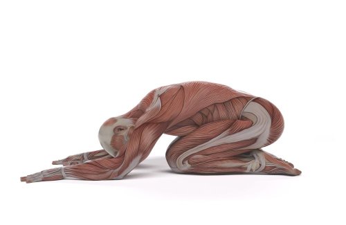 Want to Age Well? Bulletproof Your Lower Back With These 5 At-home Exercises