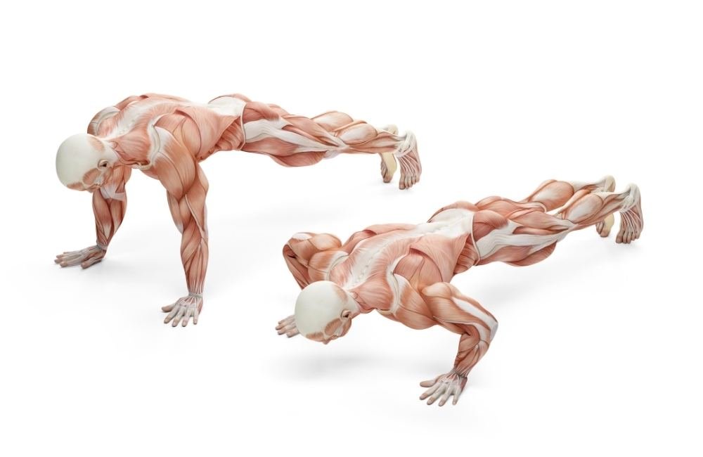 27 Best Bodyweight Exercises You Need to Get In Shape
