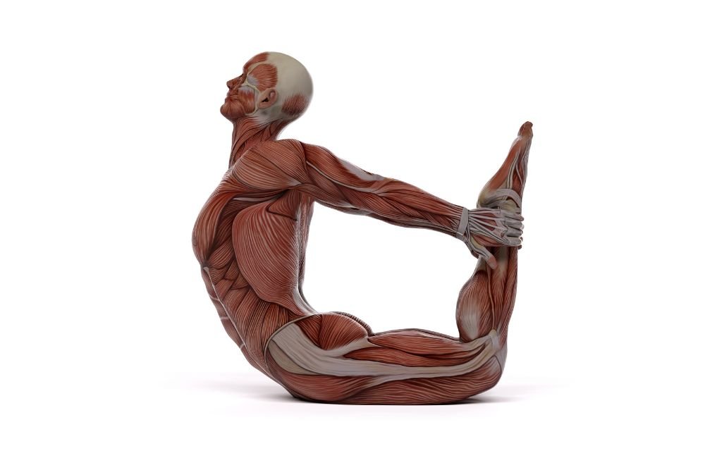 13 Amazing Stretches That’ll Restore Your Lower Back Health— No More Back Pain