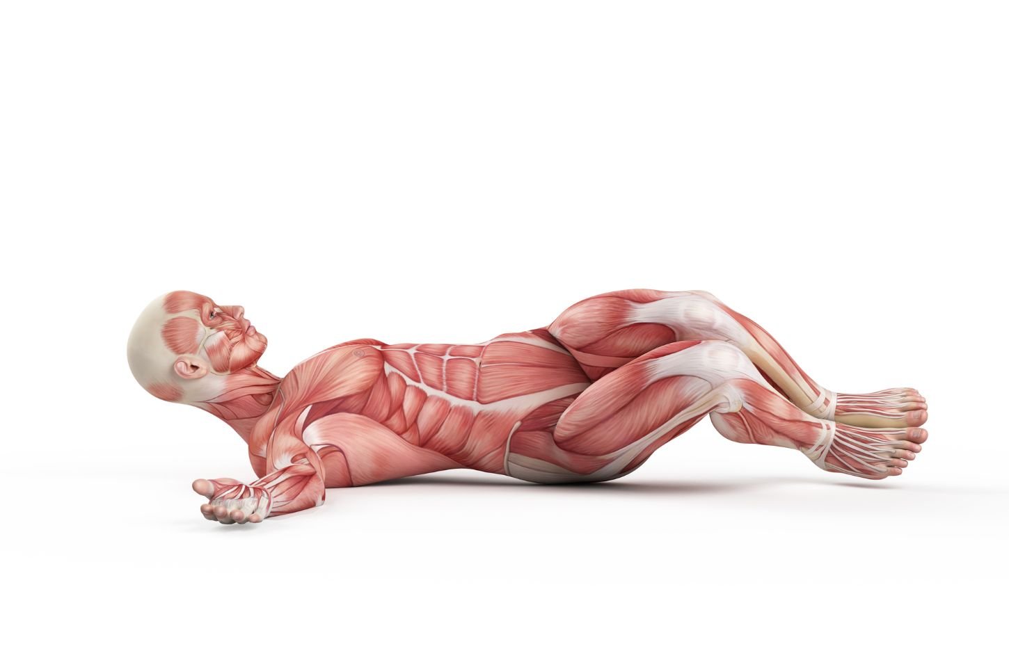 15 Best Core Exercises Missing From Your Ab Workouts