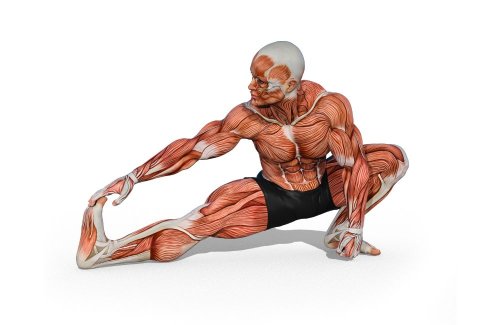 Want to Age Well? Bulletproof Hips and Shoulders With These Mobility Exercises