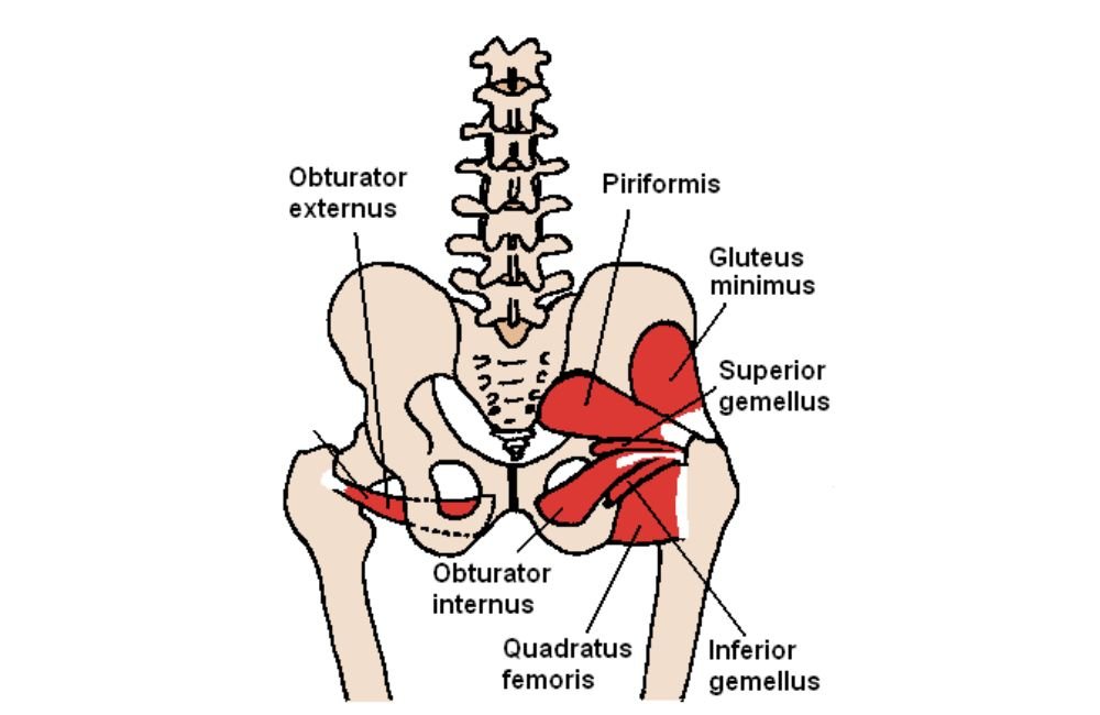 19 Stretches To Unlock Your Tight Hips and Age-proof Your Lower Back in 2023