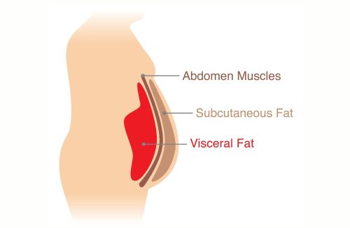 How To Lose Visceral Fat Fast — 3 Simple Steps