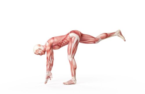 Want to Age Well? Do This Simple Exercise To Build Balance and Hip Strength