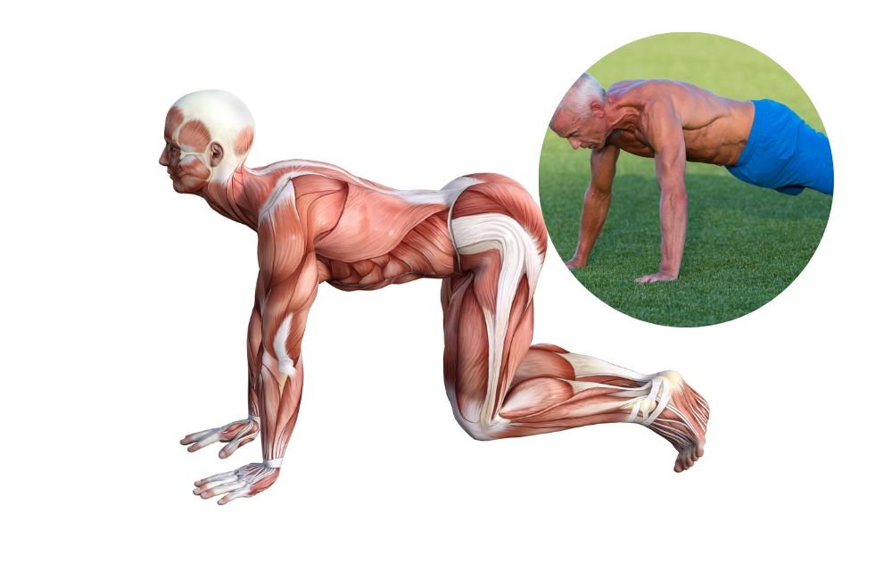 5 Best Core Workouts That’ll Help Bulletproof Your Back and Strengthen Your Entire Body as You Age