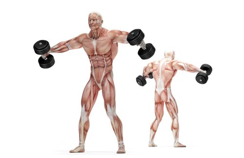 You Only Need 12 Exercises To Bulletproof Your Shoulder Muscle and Strengthen the Upper Body