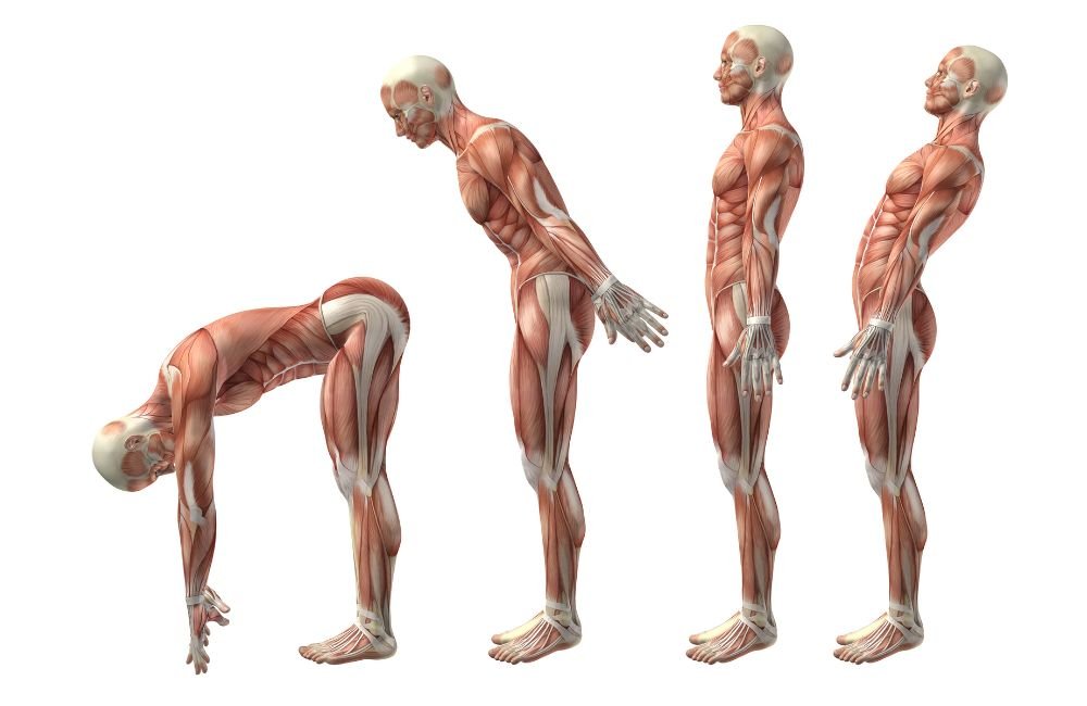 Want to Age Well? Bulletproof Your Back and Spine With These Exercises
