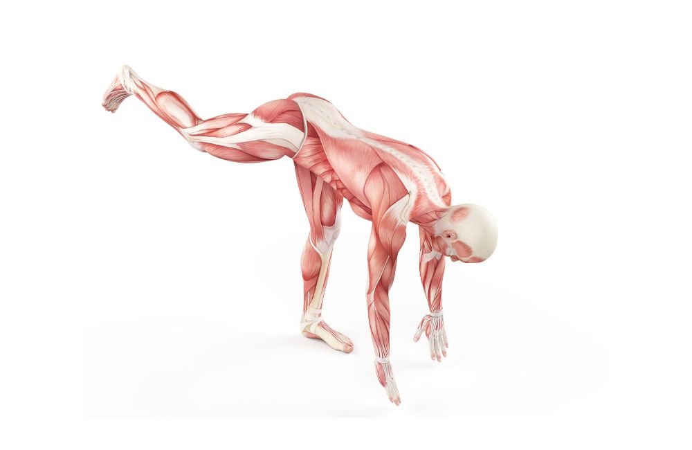 Bulletproof Your Body As You Age With These Joint-Friendly Exercises, Says a PT