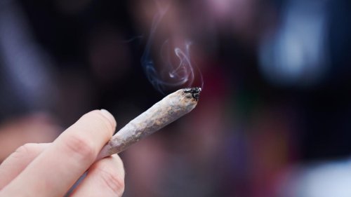 Bayern plant Cannabis-Kontrolleure als Antwort auf Legalisierung im Bund