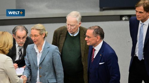 Der Umgang mit der AfD ist einer repräsentativen Demokratie unwürdig