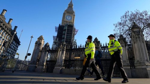 Britischer Abgeordneter wegen mutmaßlichen Missbrauchs festgenommen