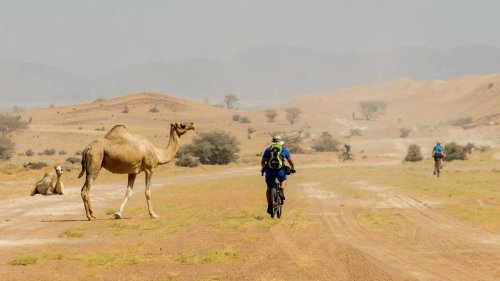 Mit dem E-Bike durch Wüsten und Wadis