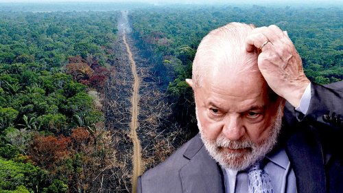 Wie Lula die Bundesregierung auflaufen lässt