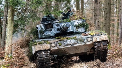 Grünen-Fraktionsvize drängt Partnerstaaten zu Panzer-Lieferungen