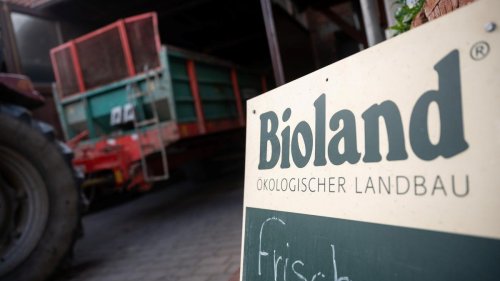 Bioland-Präsident Plagge kritisiert die Preispolitik der Einzelhändler