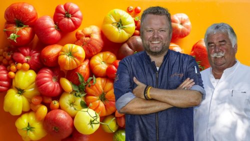 Unsere Lieblingsrezepte zur Tomatenzeit