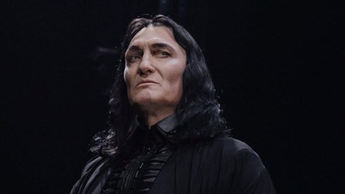 Magische Verwandlung in Severus Snape