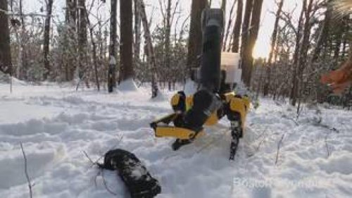 Roboterhund „Spot“ hat jetzt auch einen Arm