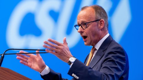„Wenn Sie das mit den Grünen nicht hinbekommen, dann werfen Sie sie raus“