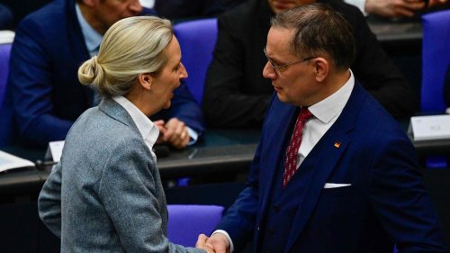 AfD in jüngster Umfrage nur noch knapp hinter der Union