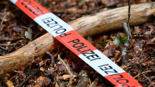 Mädchenleiche in Wald gefunden – Vermisste 14-Jährige ist wahrscheinlich tot