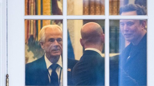 „F*ck you“, ruft der Minister. „Sag es lauter“, antwortet Musk