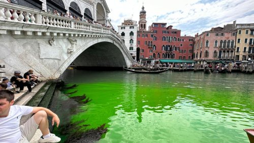 Ursache für grün leuchtenden Canal Grande in Venedig ist geklärt