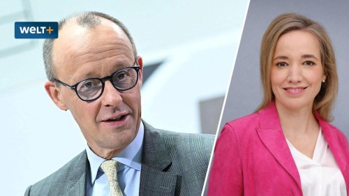 Gendern stärkt die AfD? Warum Friedrich Merz recht hat