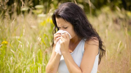 Warum Allergiker in dieser Saison besonders leiden