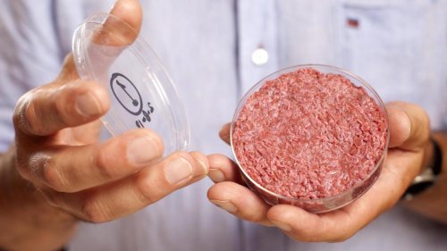Italien will Herstellung von Laborfleisch verbieten